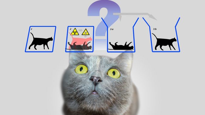 How To Understand Schrödinger’s Cat