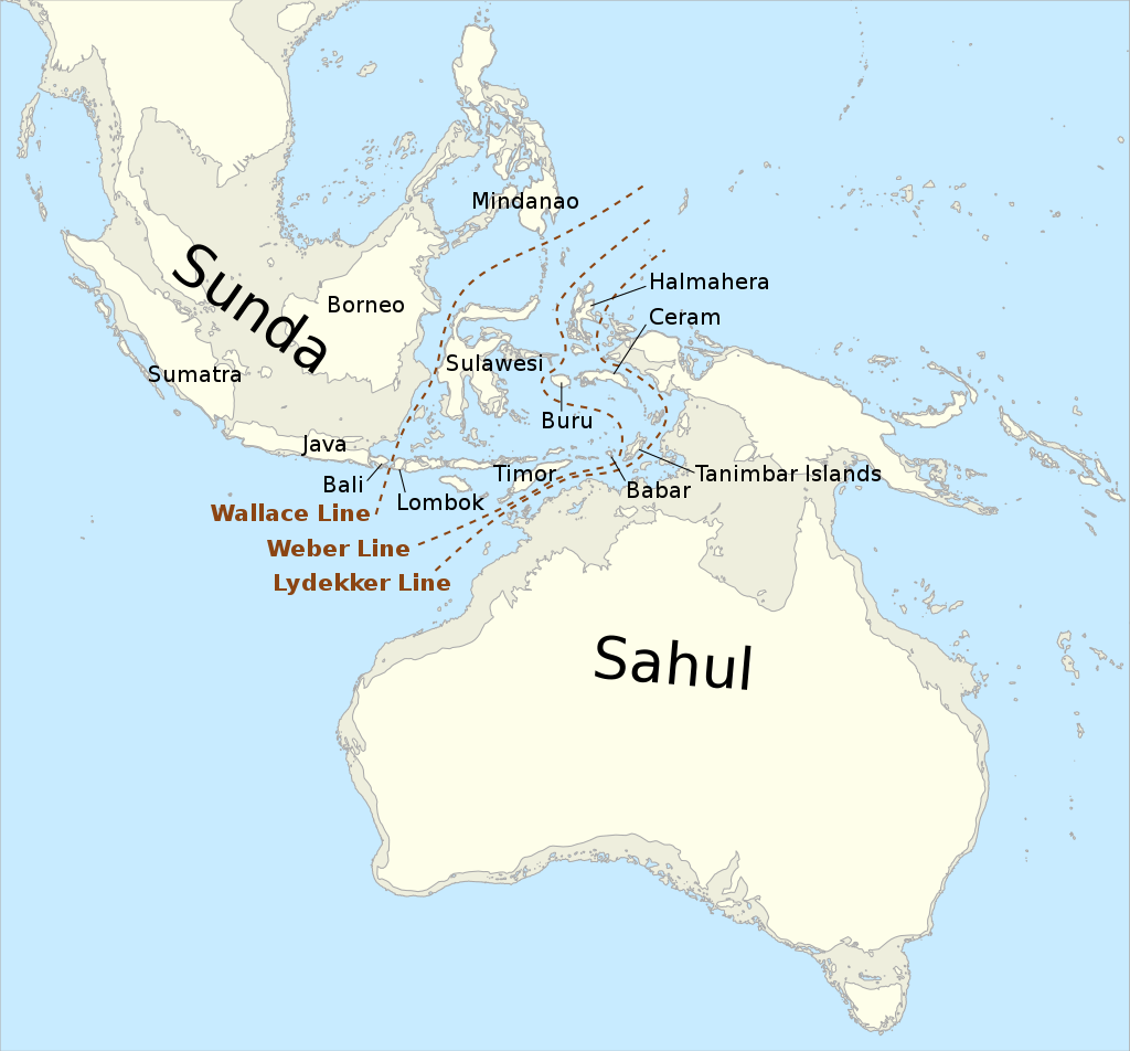 The extent of land masses in and around Indonesia and Australia during the last ice age. 