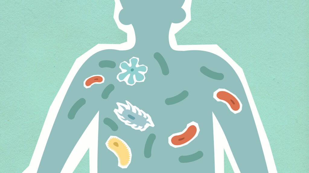 What is the human microbiome?