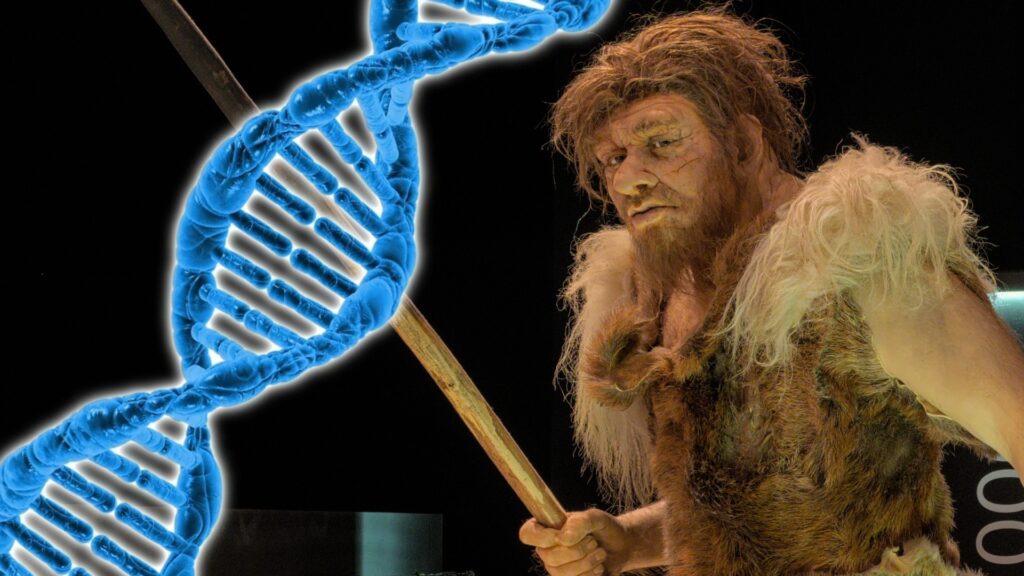 Genetic Legacy of Ancient Humans